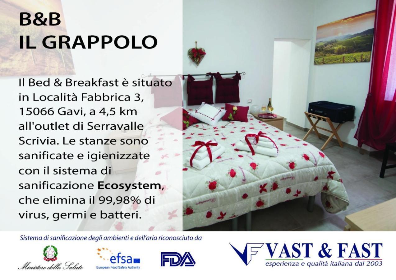Il Grappolo -Affittacamere- Gavi Exterior foto